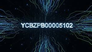 Unlocking the Potential of ycbzpb00005102: What You Need to Know